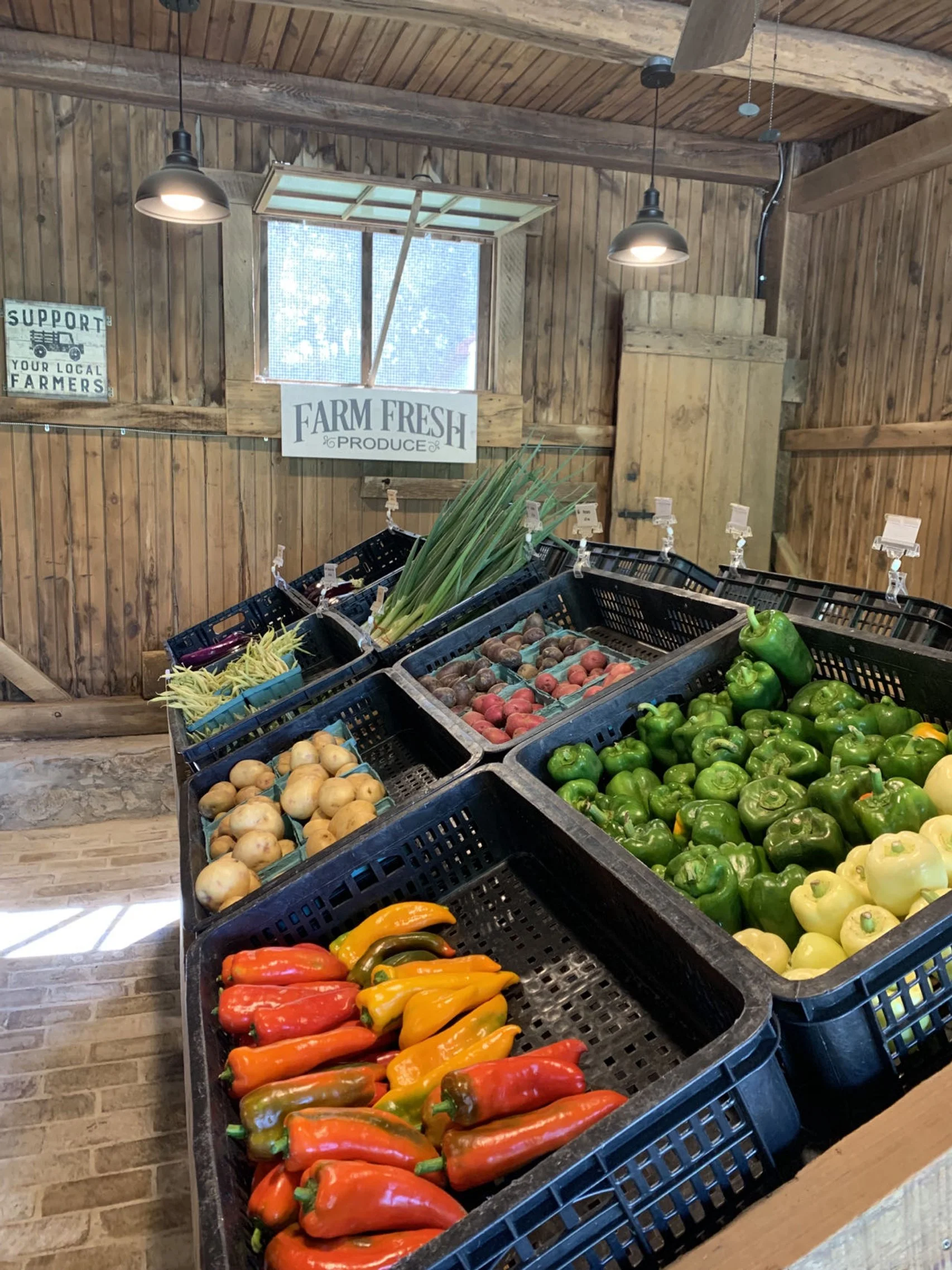 Wonder Kitchen in Bethlehem, PA (4)
