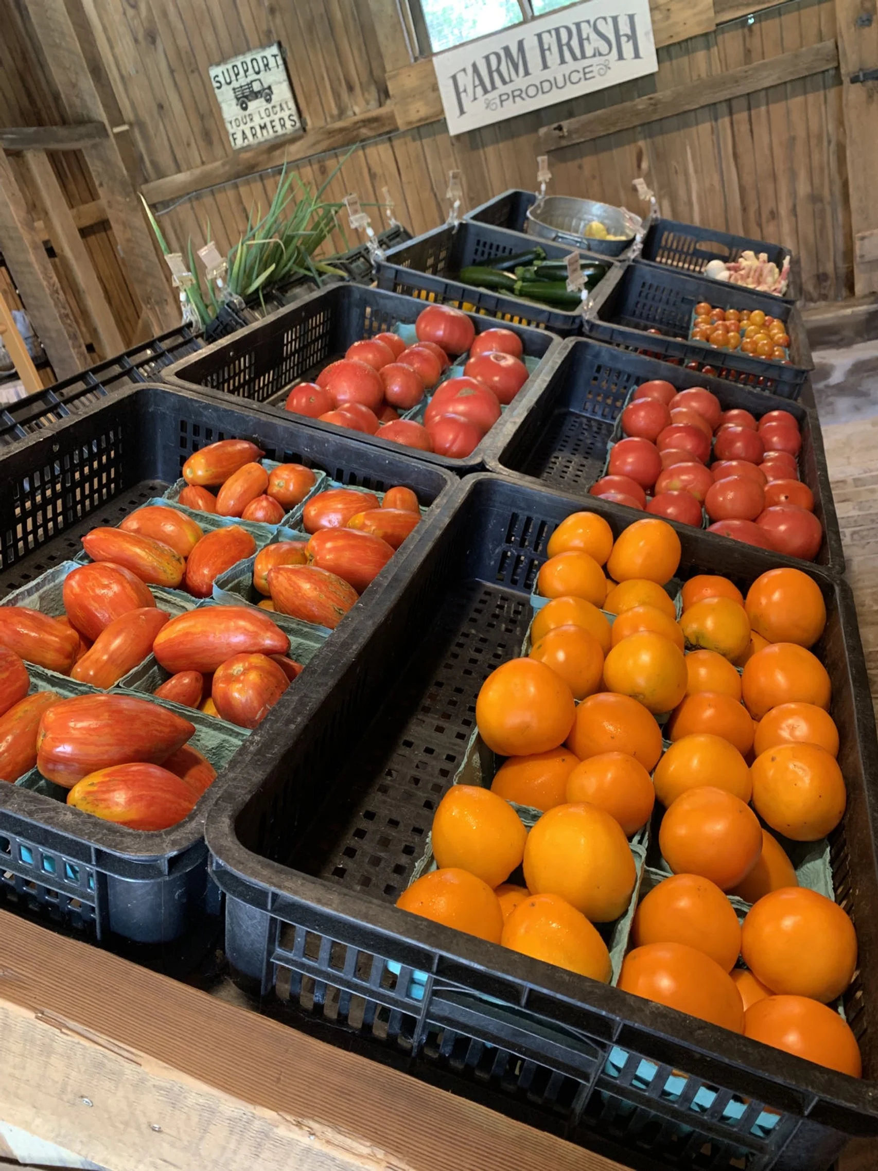 Wonder Kitchen in Bethlehem, PA (5)