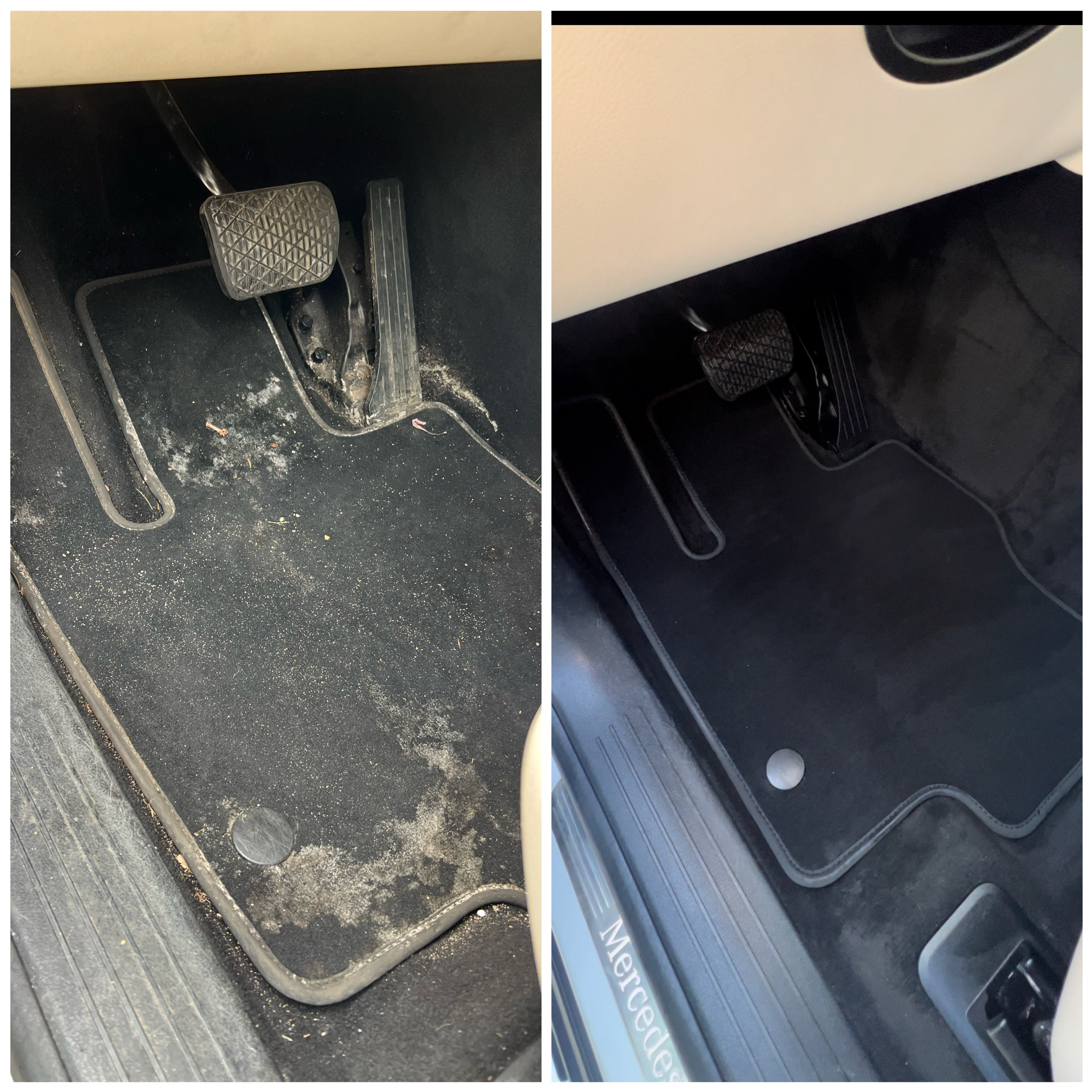 Clean Scene Detailing in Wellington, OH (2)