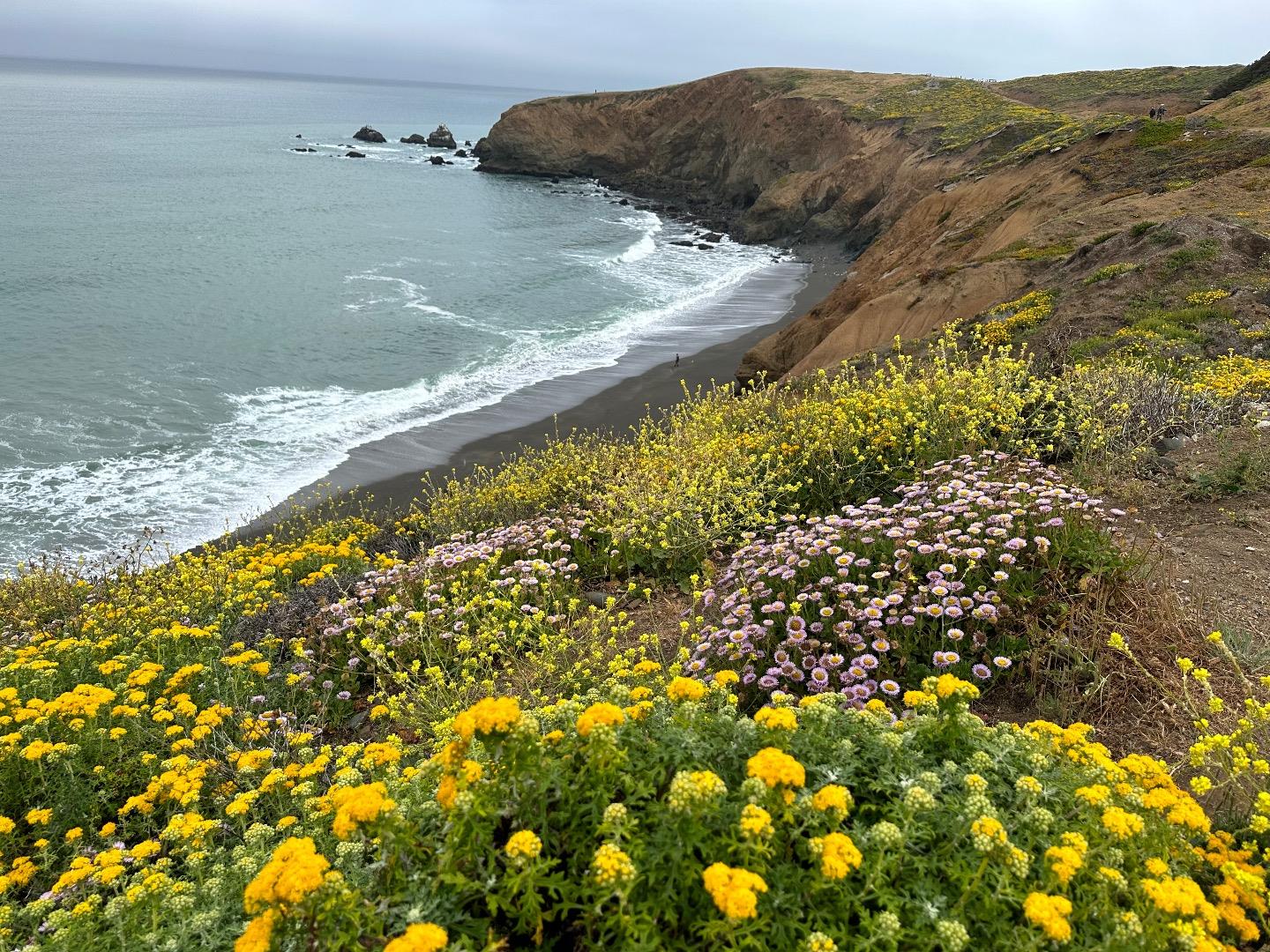 Home Sales Team, Inc. in Pacifica, CA (5)