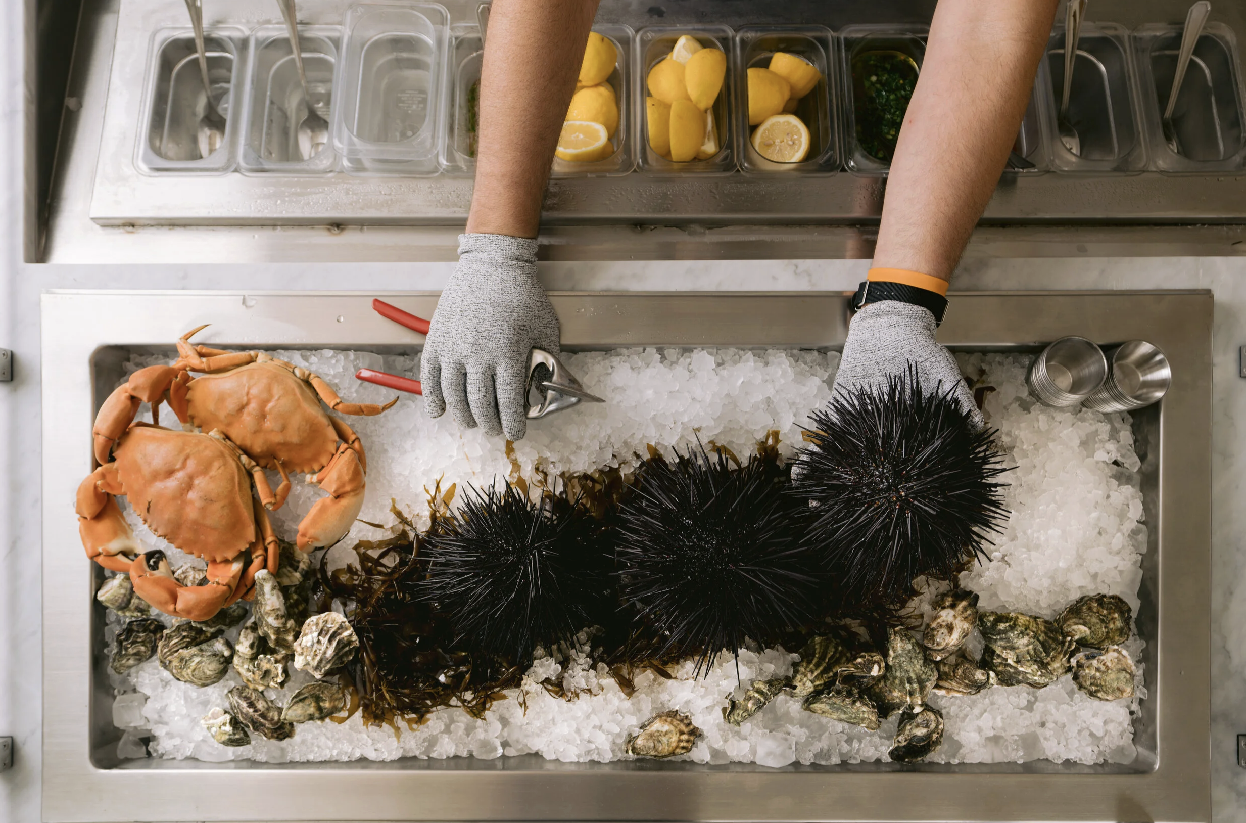 Little Dom's Seafood in Carpinteria, CA