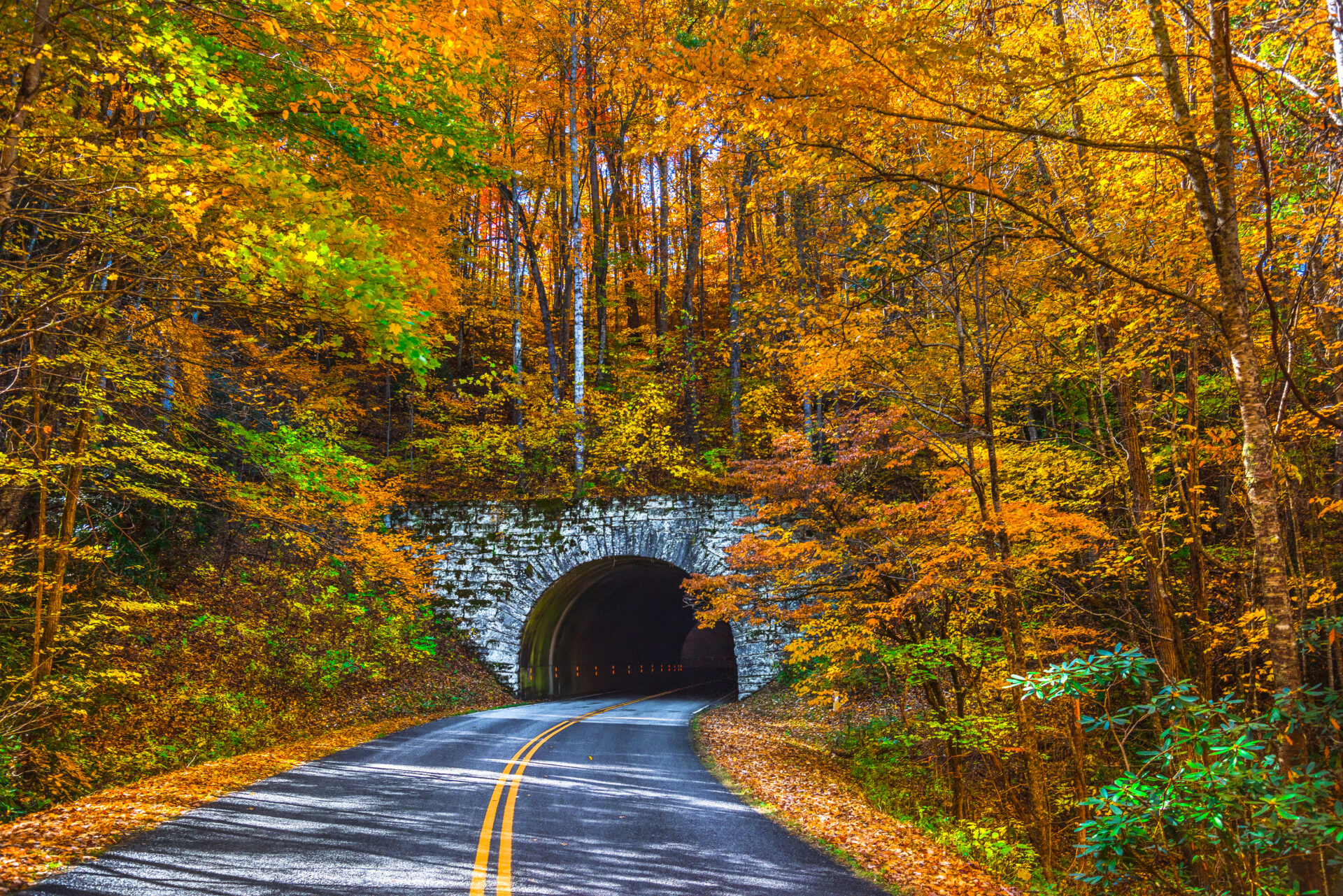 NC High Country Real Estate in Jefferson, NC