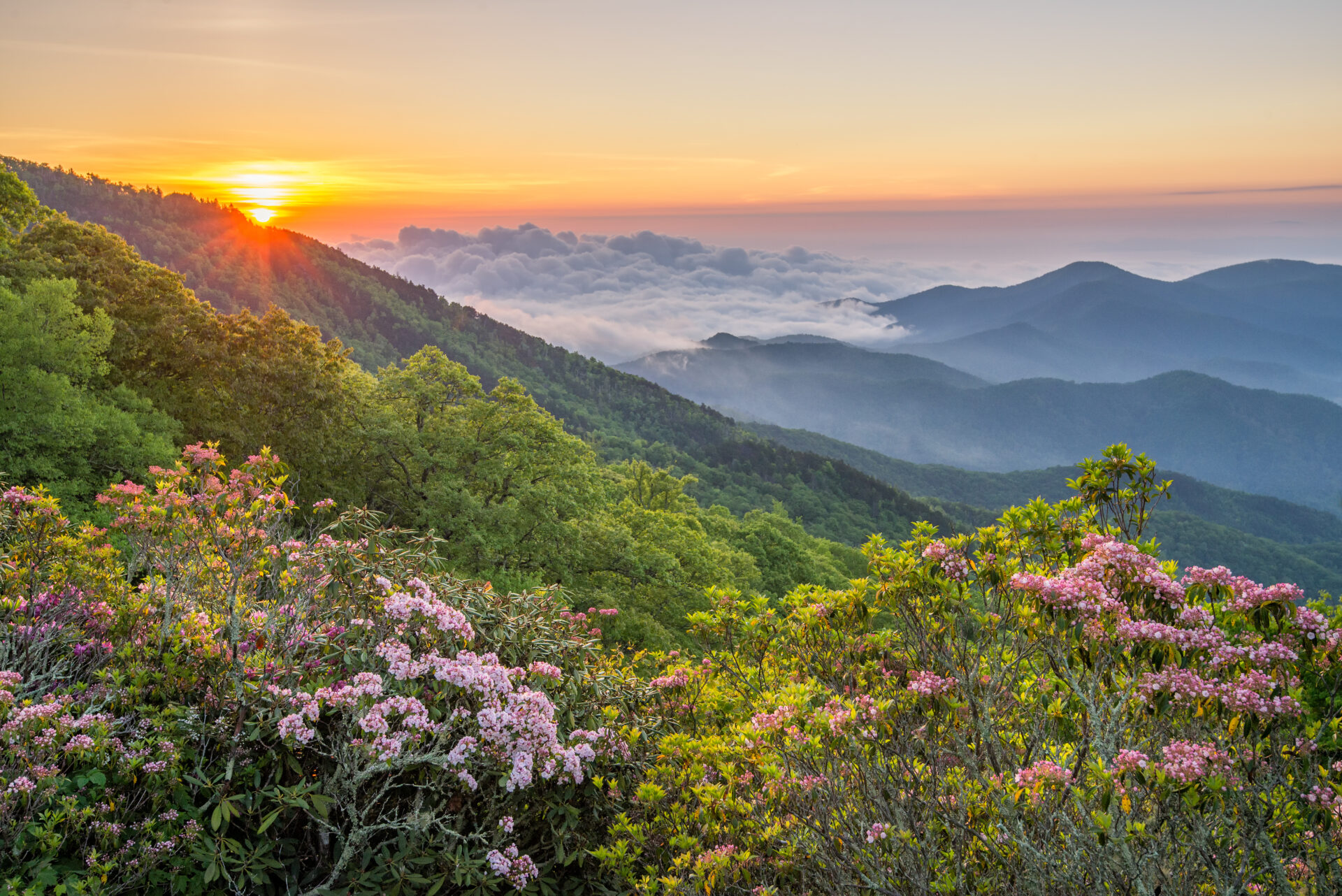 NC High Country Real Estate in Jefferson, NC (5)