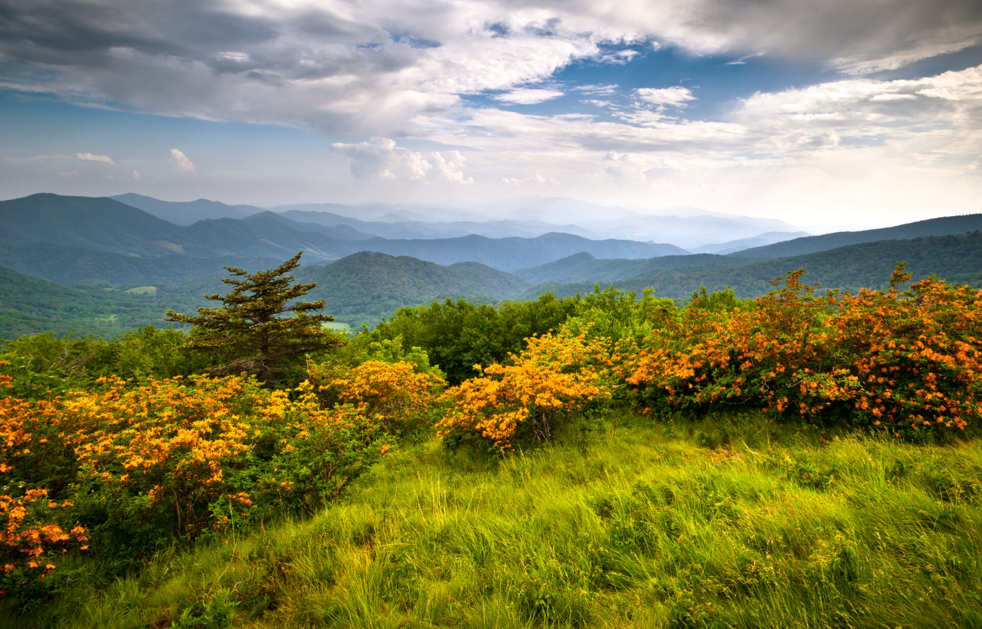 NC High Country Real Estate in Jefferson, NC (6)