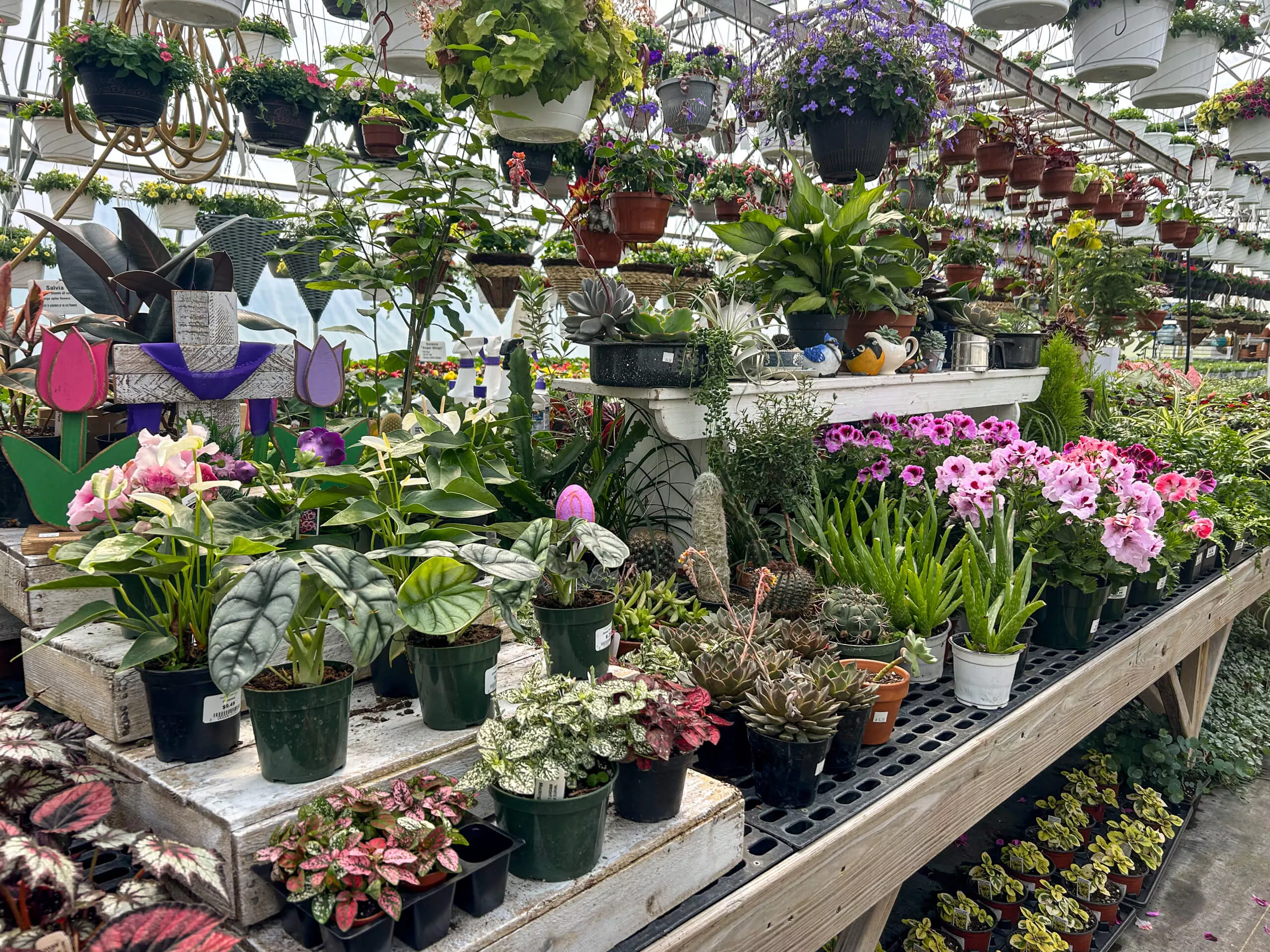 Stauffer's Produce Farm & Greenhouse in Elizabethville, PA