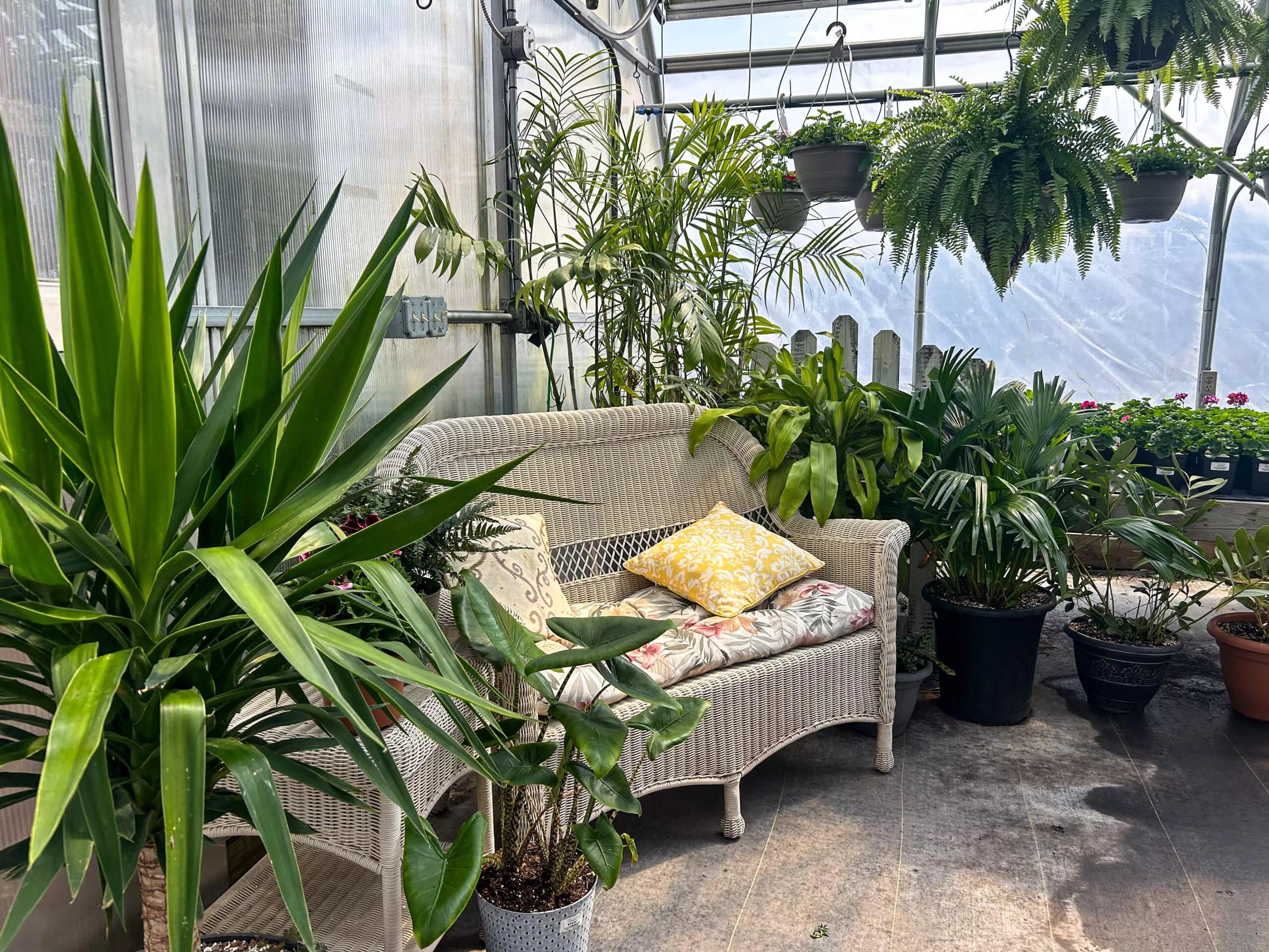 Stauffer's Produce Farm & Greenhouse in Elizabethville, PA (2)
