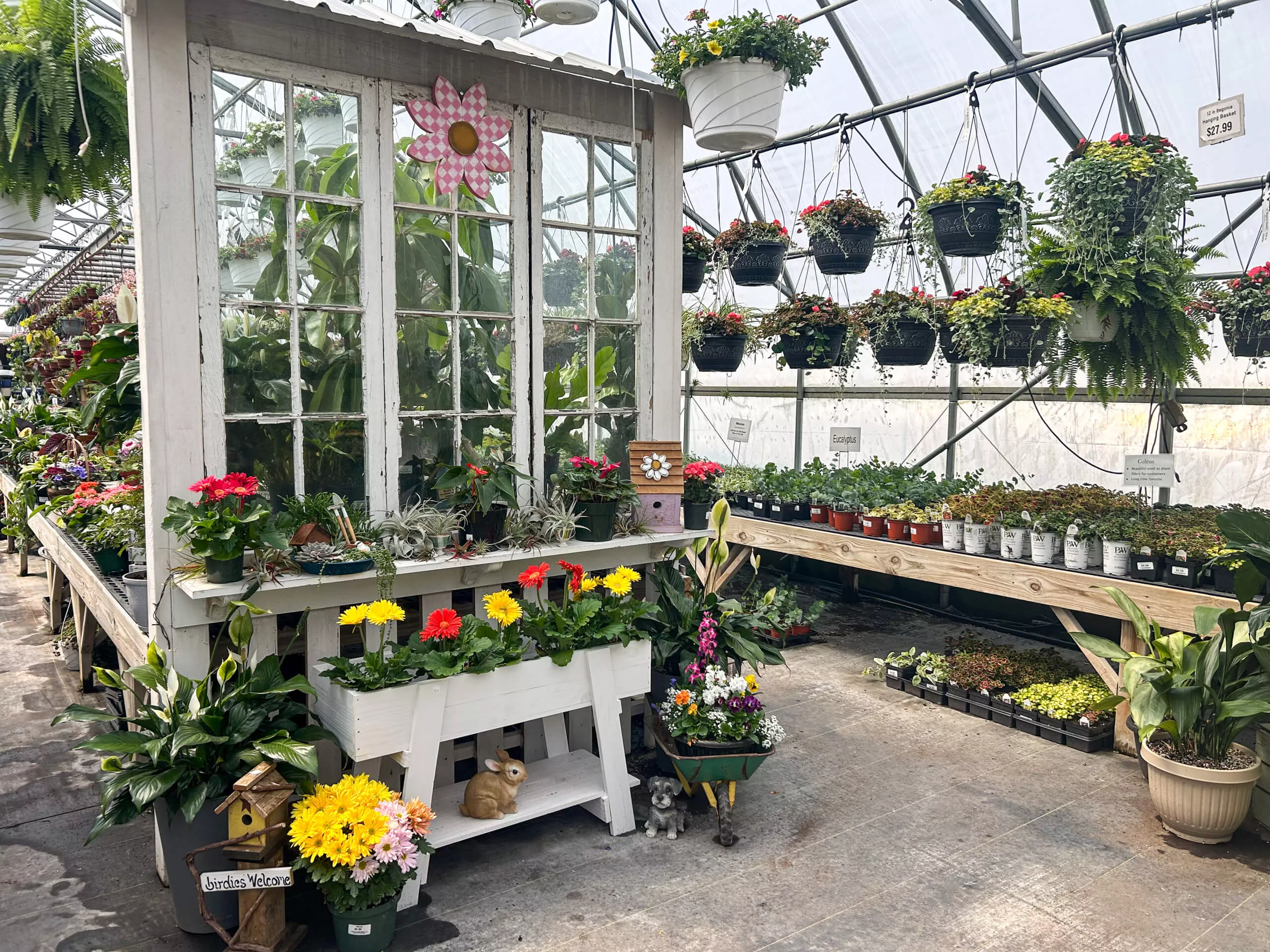 Stauffer's Produce Farm & Greenhouse in Elizabethville, PA (4)