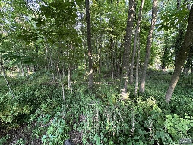 Arwa Abbassi- Coldwell Banker Realty in Wyckoff, NJ (4)