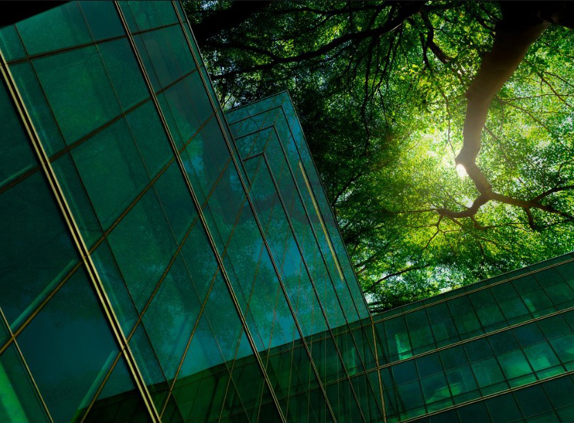 Infinavate Consultancy Services, LLC in The Woodlands, TX (6)