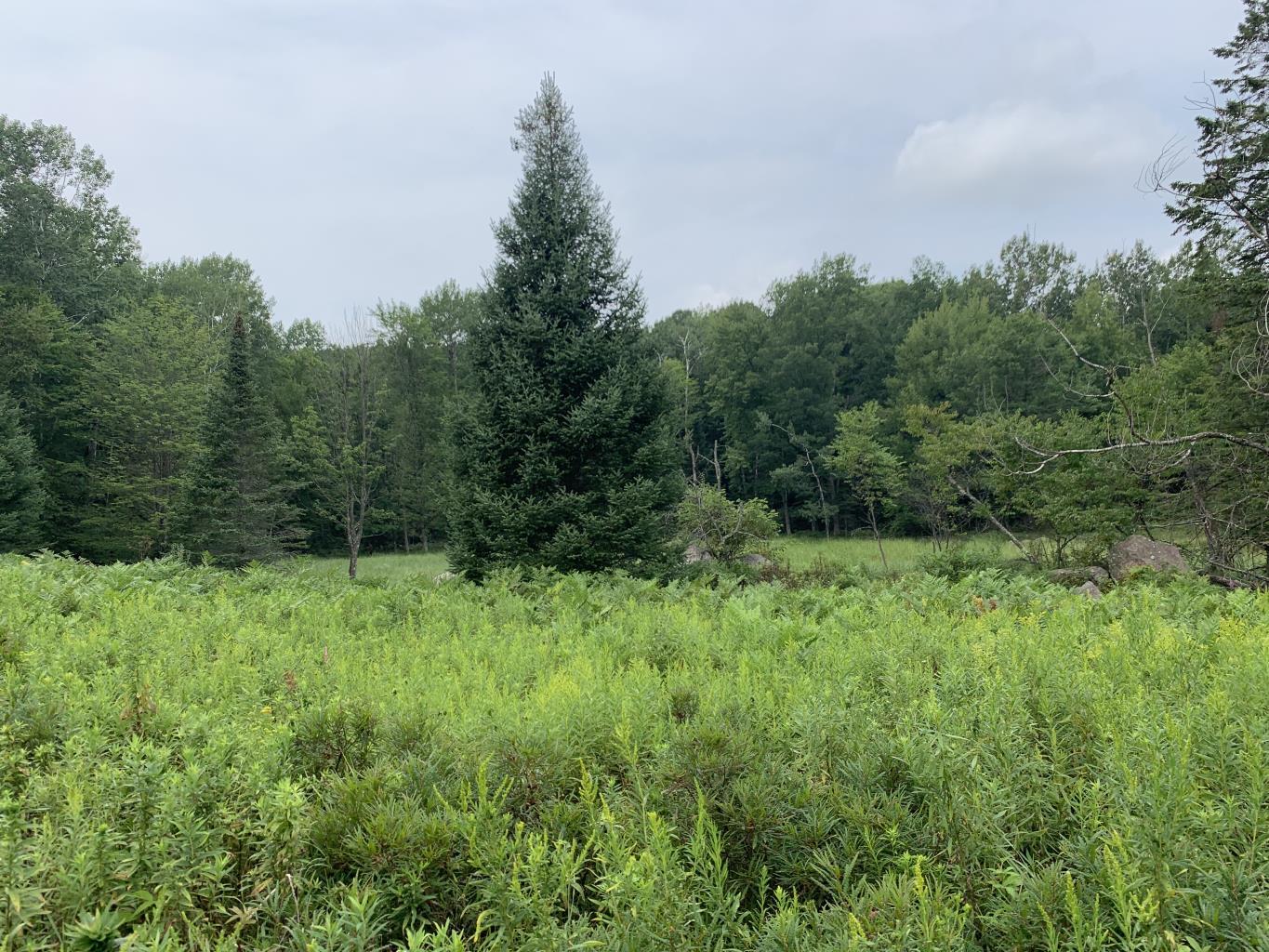 Smart Move Realty in Rosholt, WI (2)