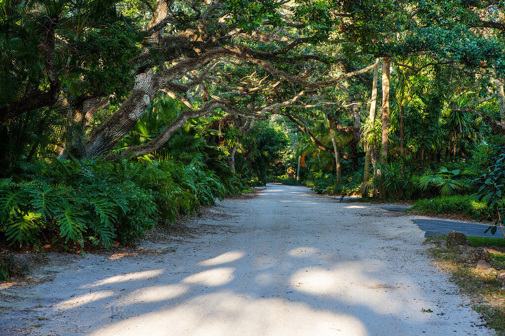 Sally Daley -- The Daley Group at Douglas Elliman in Vero Beach, FL