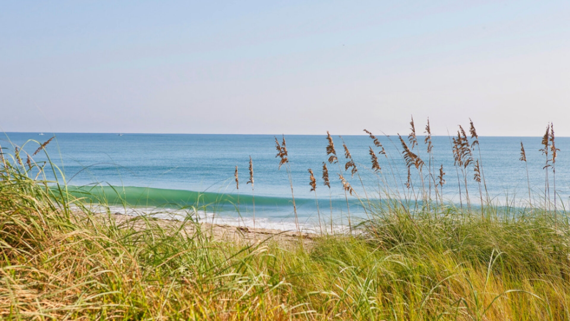 Sally Daley -- The Daley Group at Douglas Elliman in Vero Beach, FL (3)