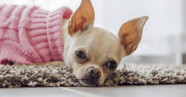 Hunter Best Cleaning Inc in Long Beach, CA (2)