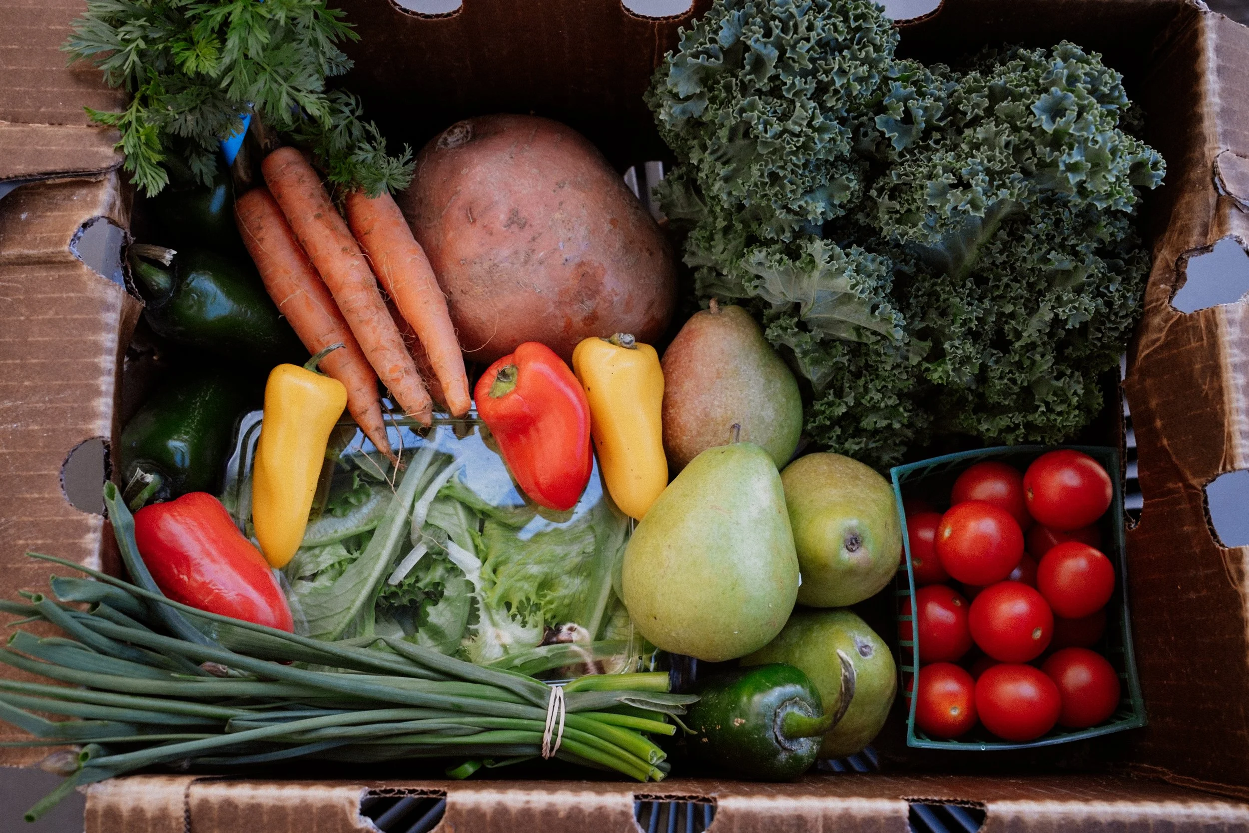Grassroots Aid Partnership Food Truck in Asheville, NC (6)
