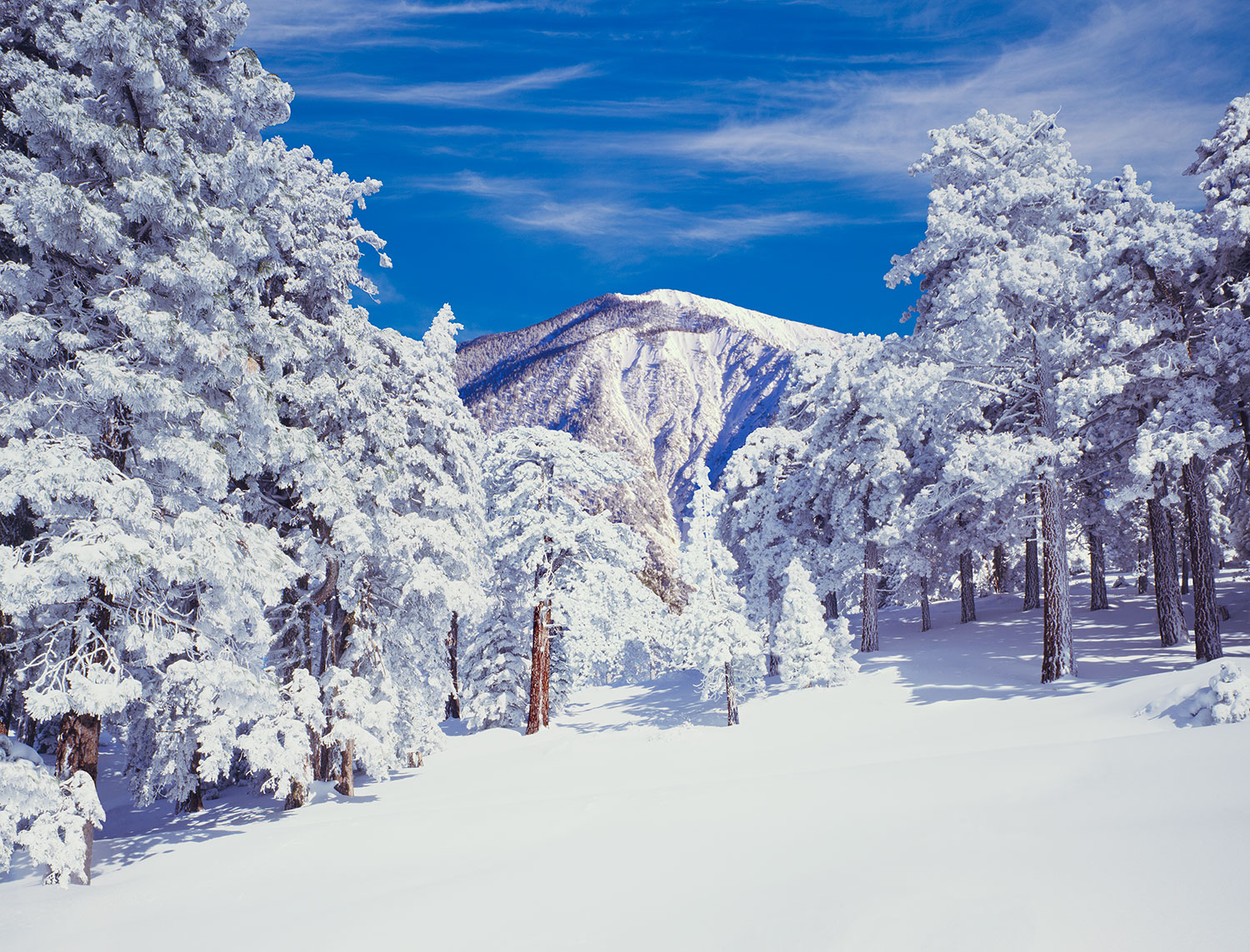 Sharp Hood Group in Truckee, CA (3)