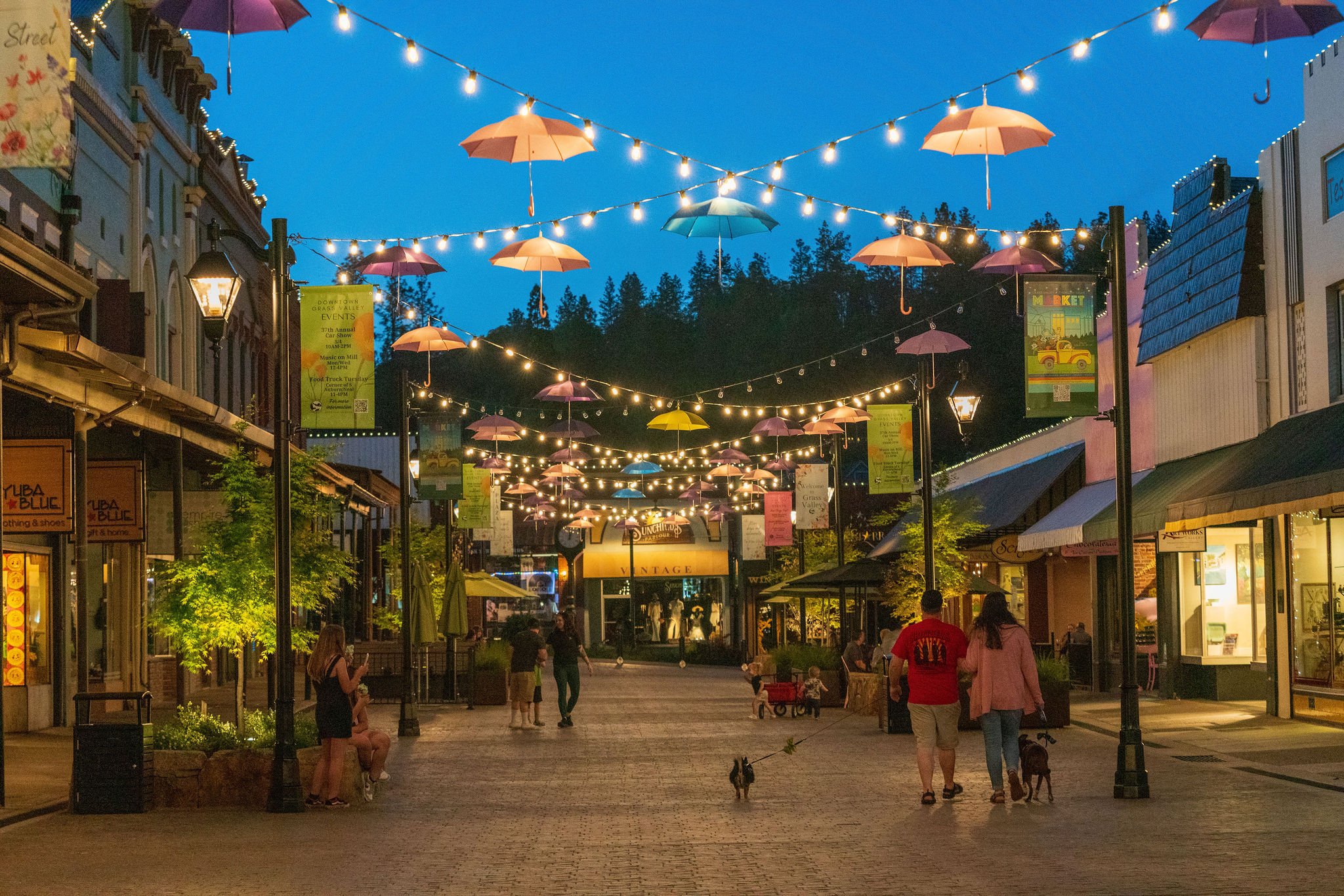 Soozie Yearwood – Grass Valley REALTOR® in Grass Valley, CA (4)