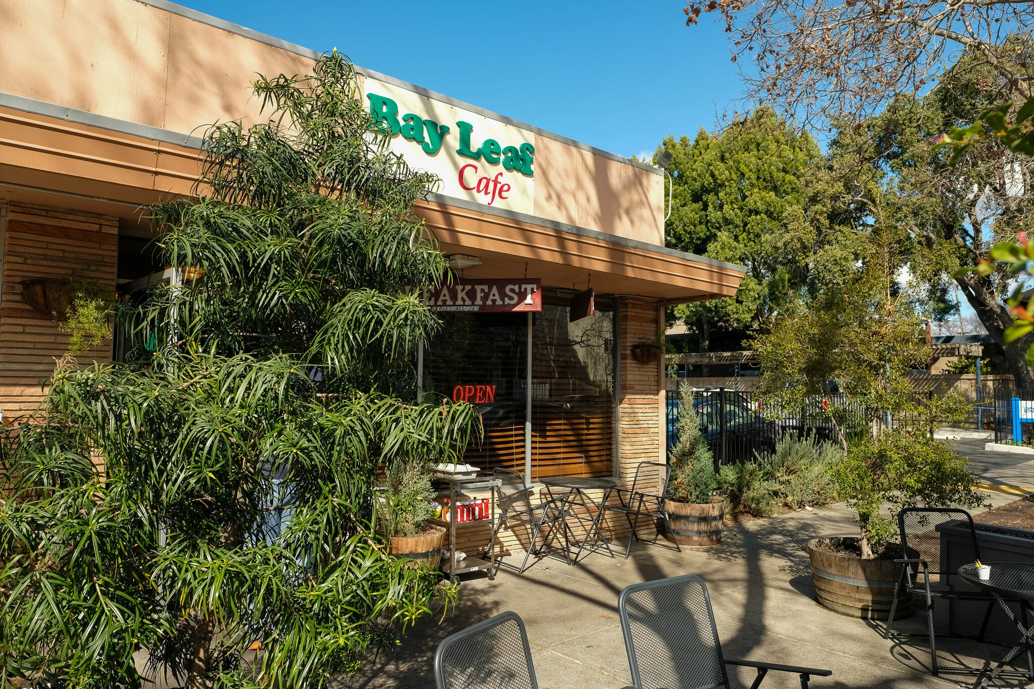 Bay Leaf Cafe in Concord, CA (2)