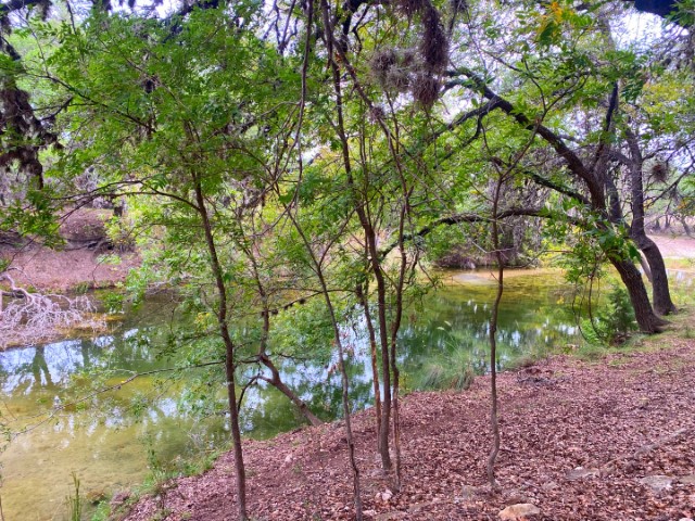 Pannell Real Estate in Camp Wood, TX (3)