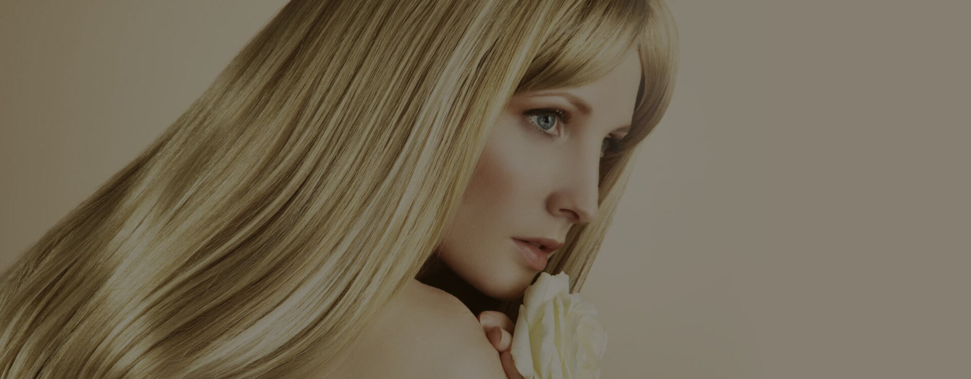 De Lis Salon in Manhasset, NY (4)