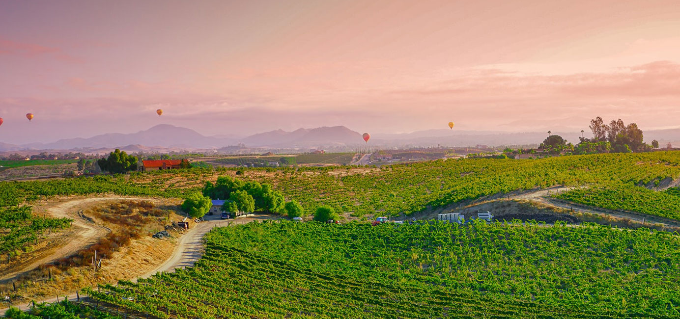 Nick Anselmo Realtor - Abundance Real Estate in Temecula, CA (2)