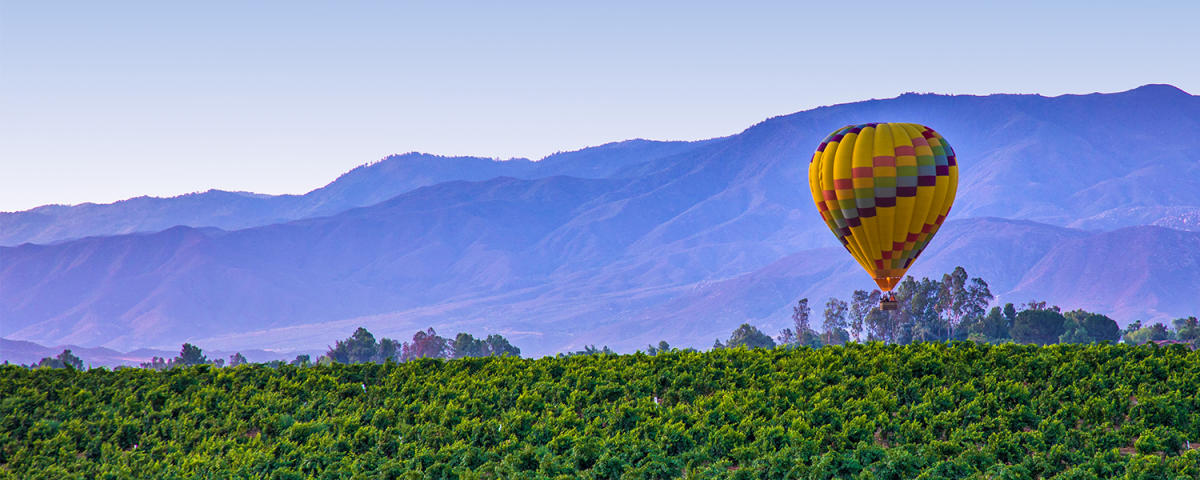 Nick Anselmo Realtor - Abundance Real Estate in Temecula, CA (3)