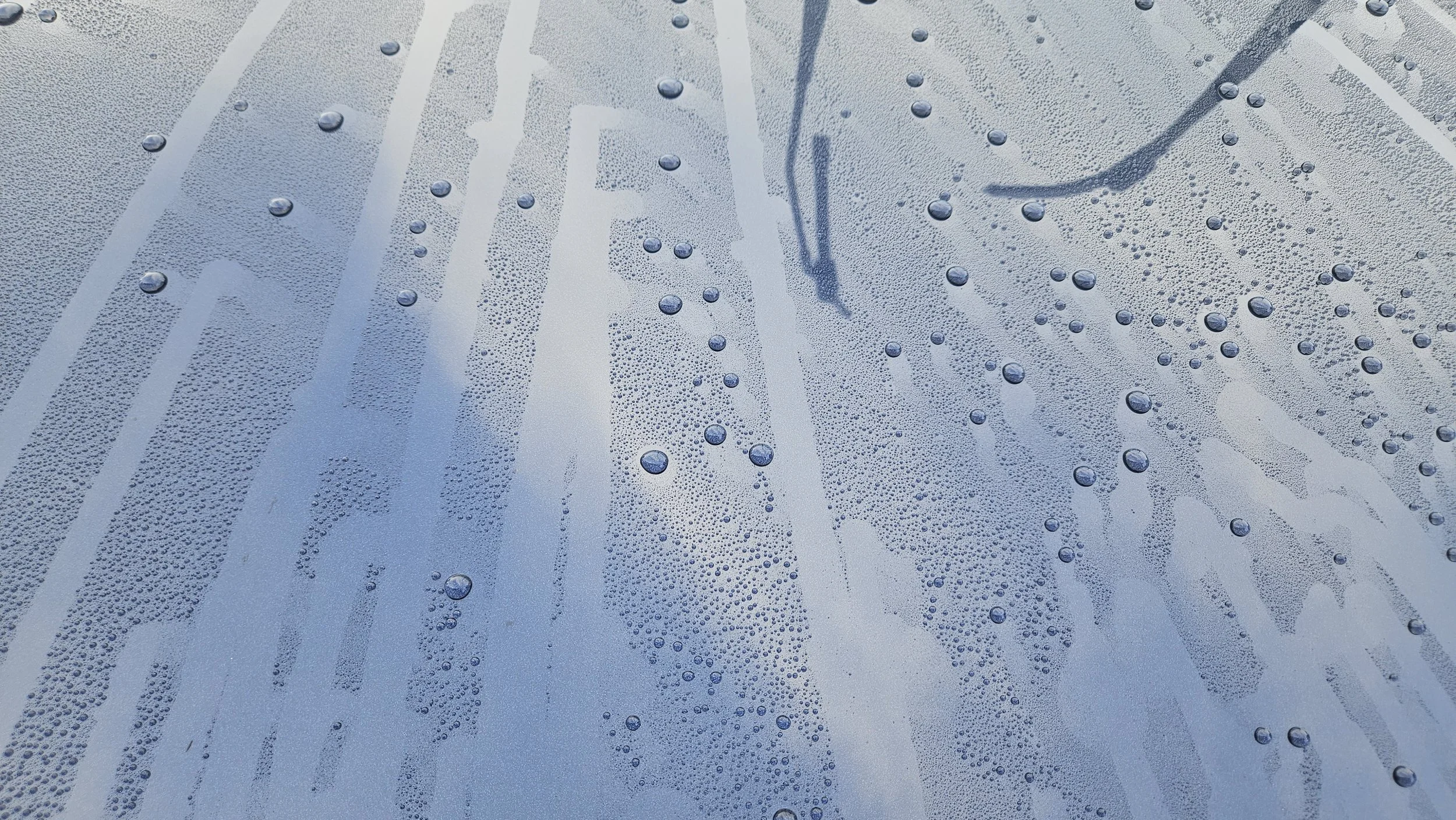 Wheelhouse Detailing in Shelbyville, KY (4)