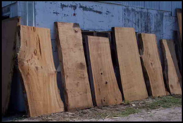 Tom's Cypress, Inc. in Waldo, FL