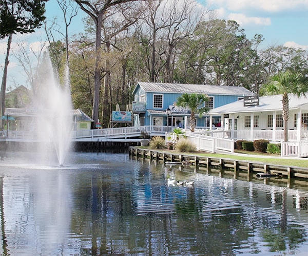Celia A. Klein, SC/NC REALTOR® in Myrtle Beach, SC