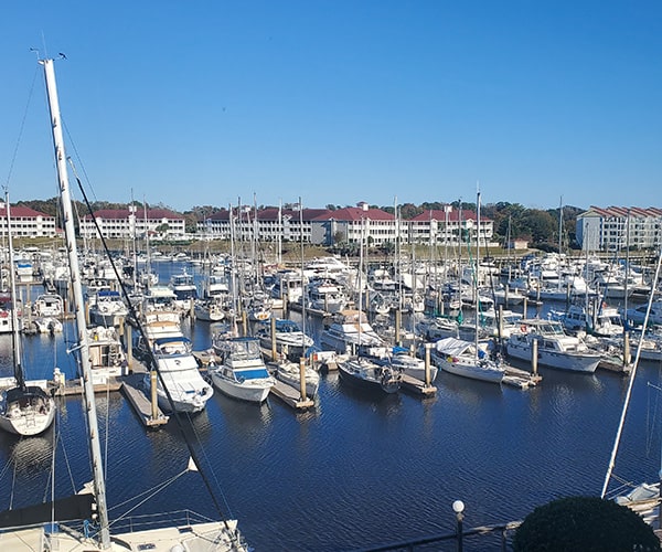 Celia A. Klein, SC/NC REALTOR® in Myrtle Beach, SC (5)
