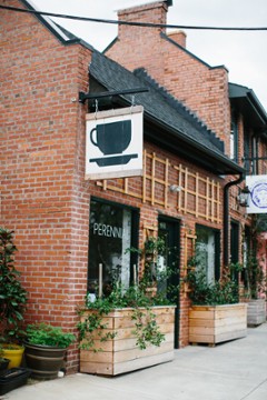 Perennial in Chapel Hill, NC (2)