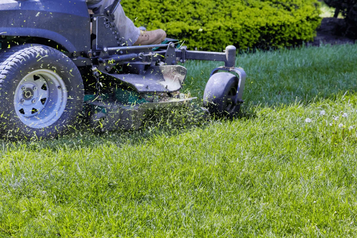 All Cutt Lawn Service in Eatonton, GA
