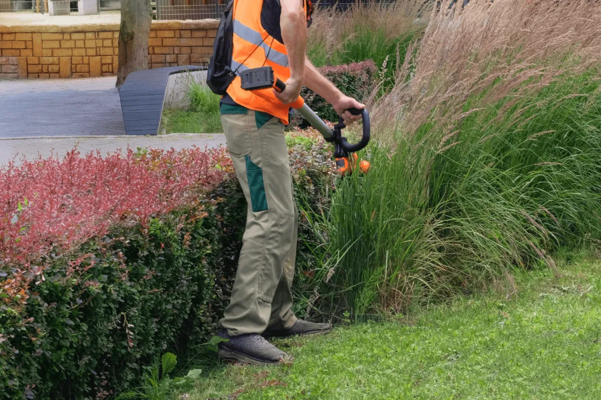 All Cutt Lawn Service in Eatonton, GA (3)