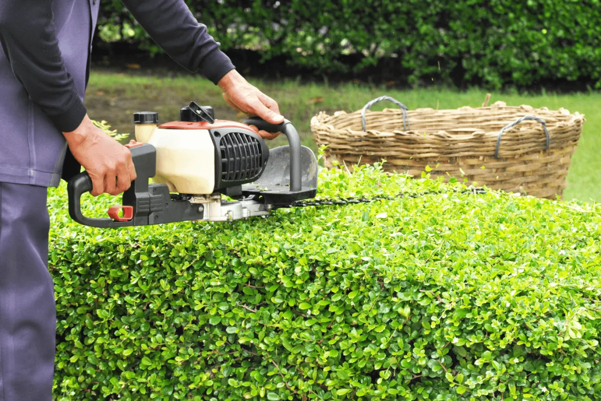 All Cutt Lawn Service in Eatonton, GA (4)