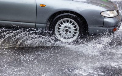 Windermere Sustainable Car Care in Naples, FL (4)