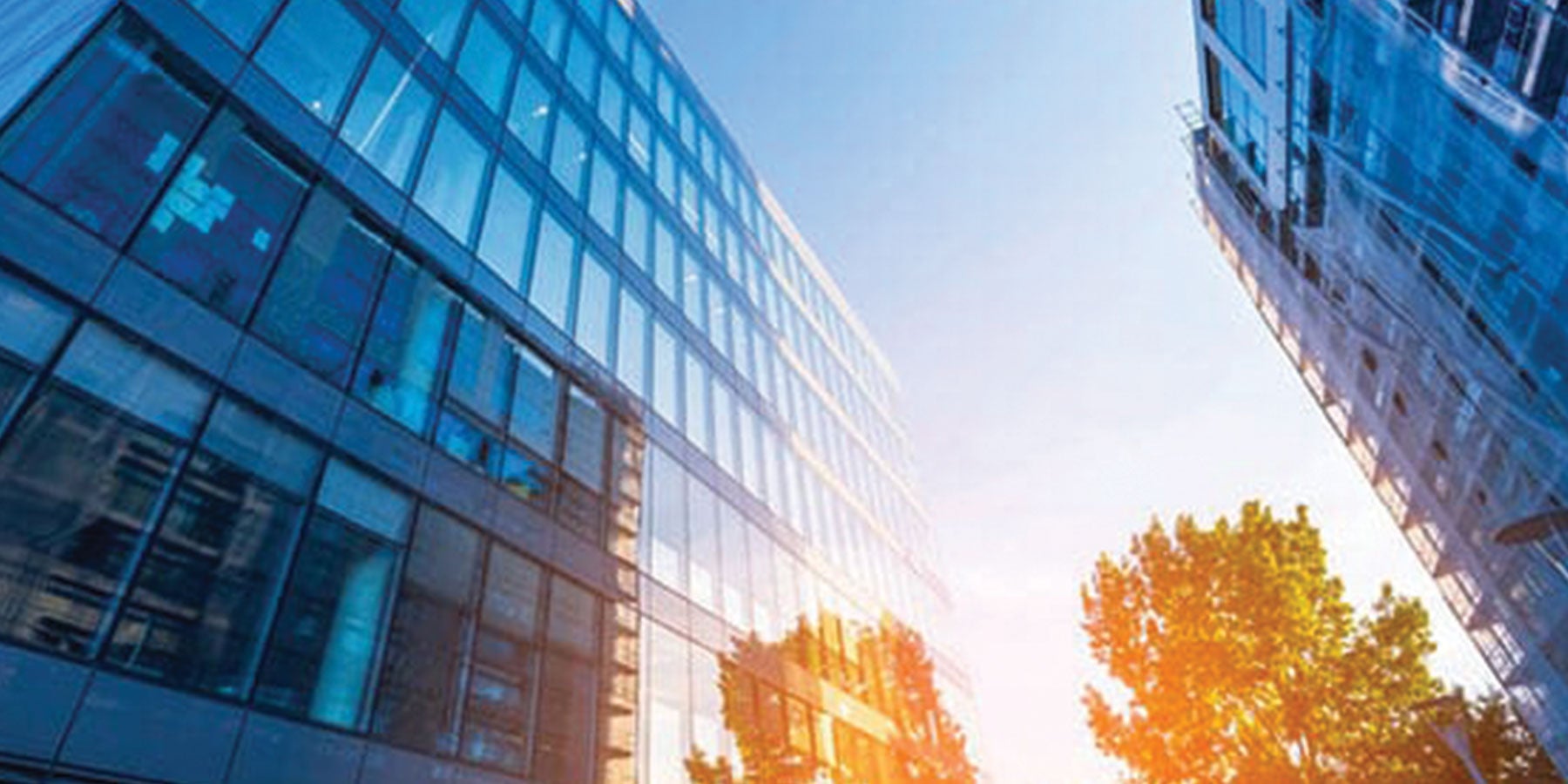 Johnson & Johnson, Attorneys at Law in Florham Park, NJ