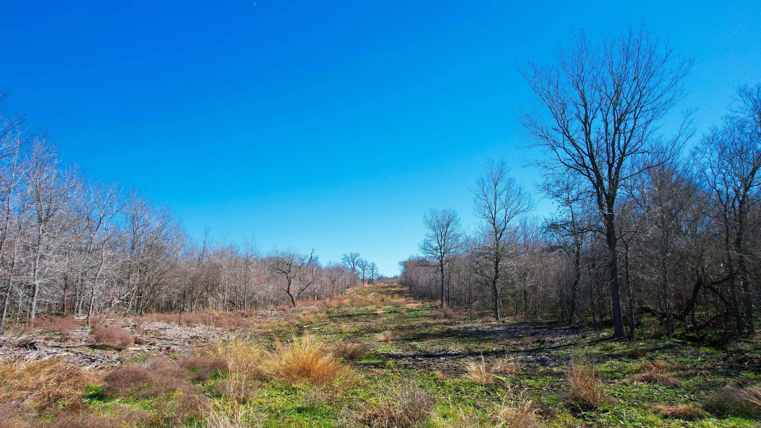 Land Up Realty and Investments in Buda, TX (5)