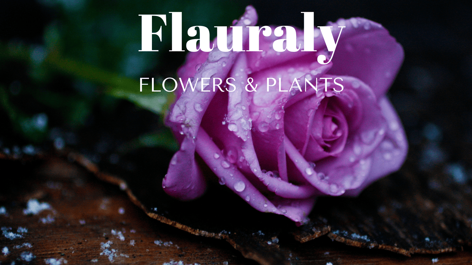 Flauraly Flowers and Plants in North Haledon, NJ