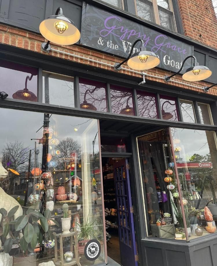 Gypsy Grace & The Vintage Goat in Akron, OH (3)