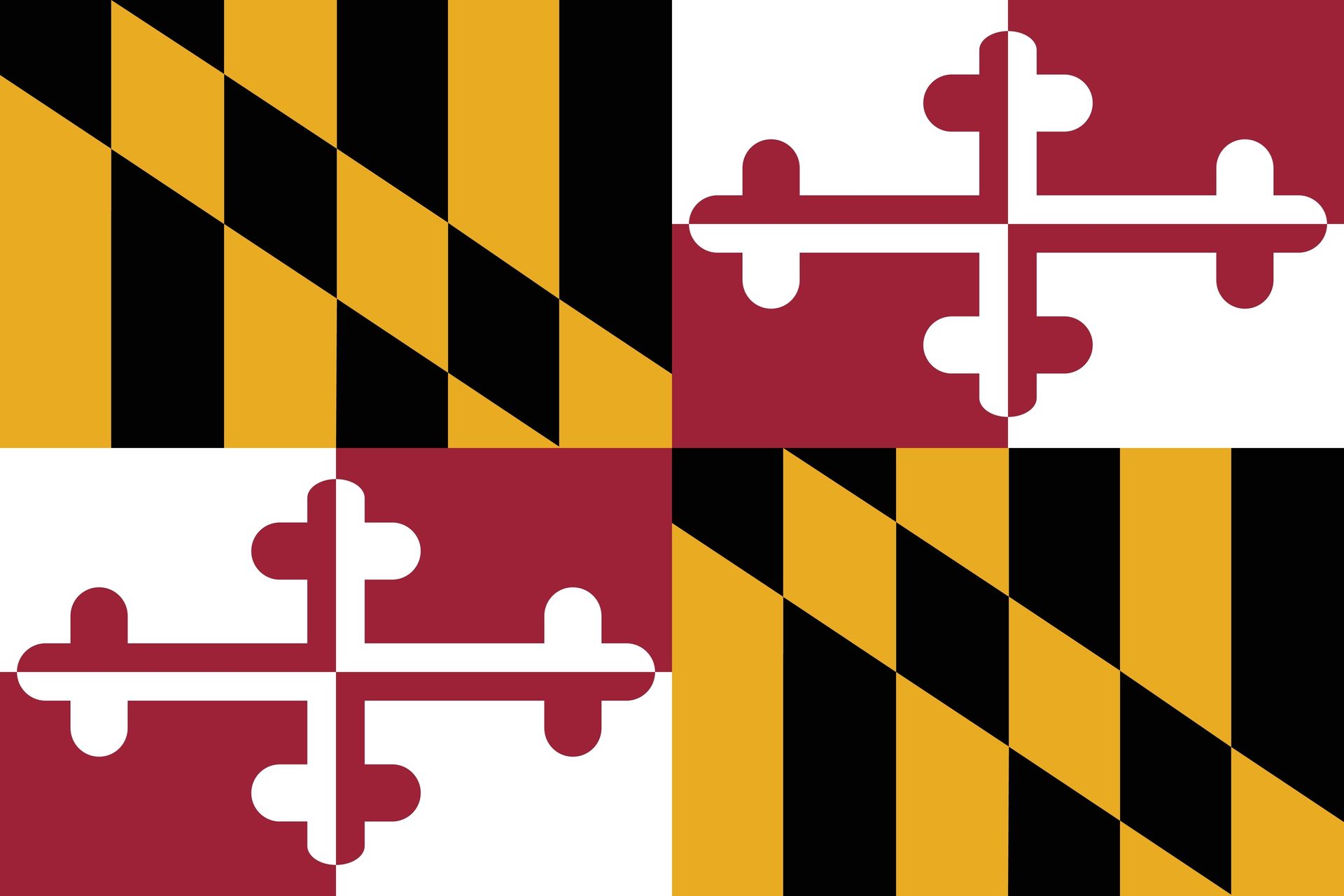 Best Auto Care in Kensington, MD (4)