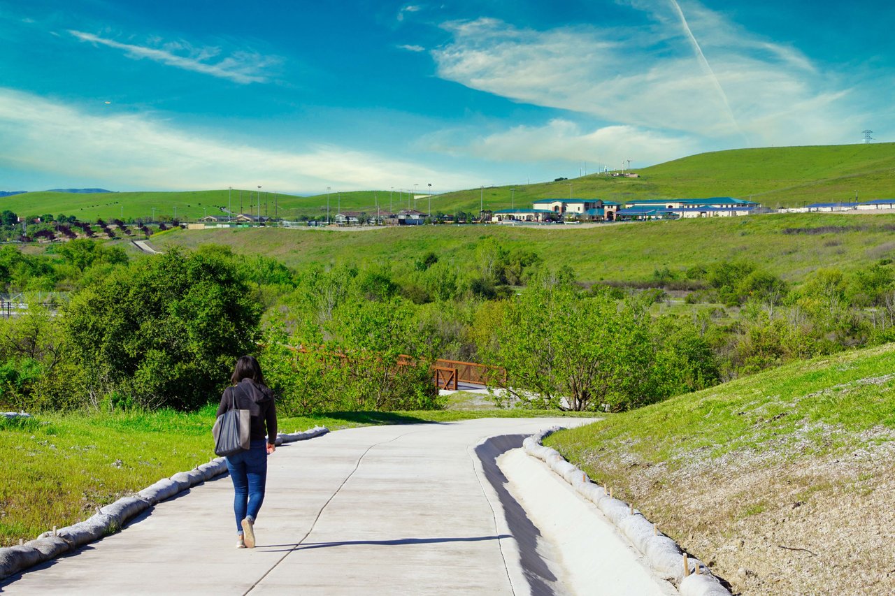Jill Fusari, REALTOR | Alamo Real Estate-The Agency in Alamo, CA (5)