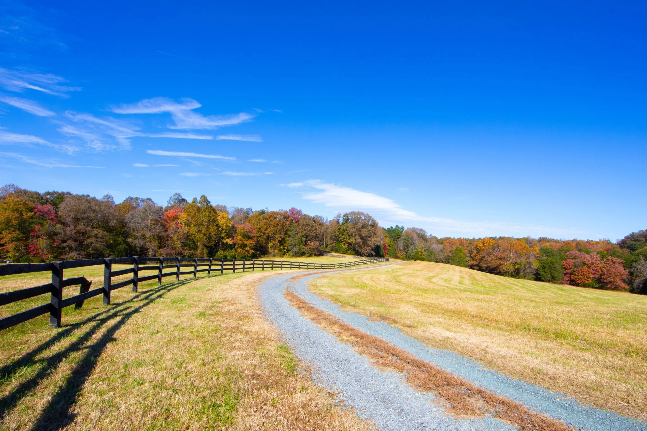Jamie White Real Estate in Charlottesville, VA (3)