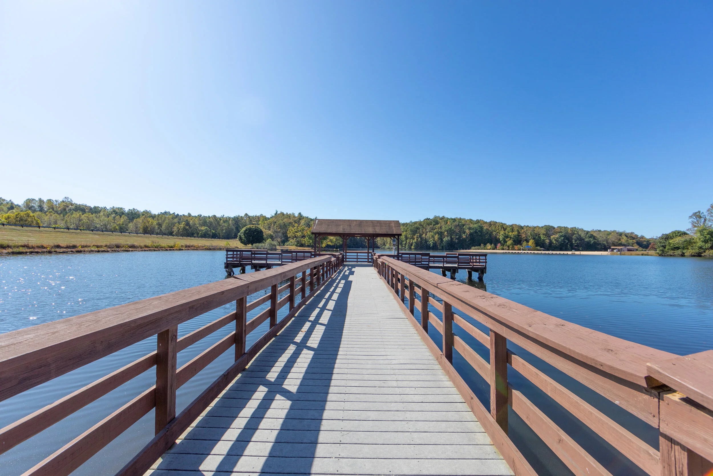 Jamie White Real Estate in Charlottesville, VA (4)