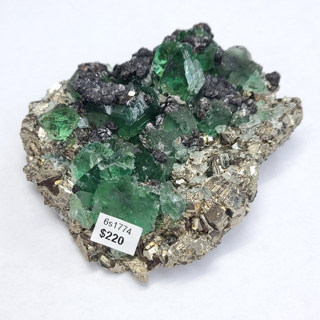 Burnie's Rock Shop in Madison, WI (4)