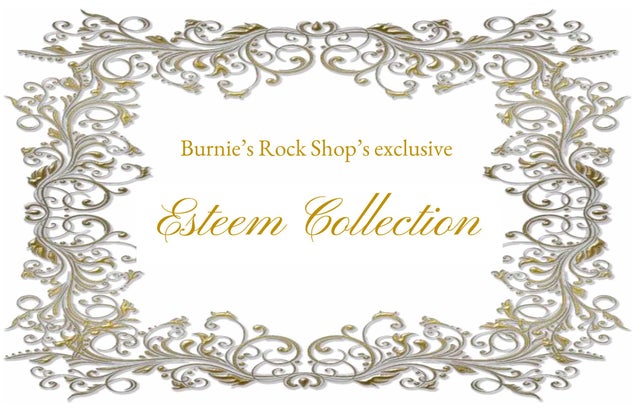 Burnie's Rock Shop in Madison, WI (6)