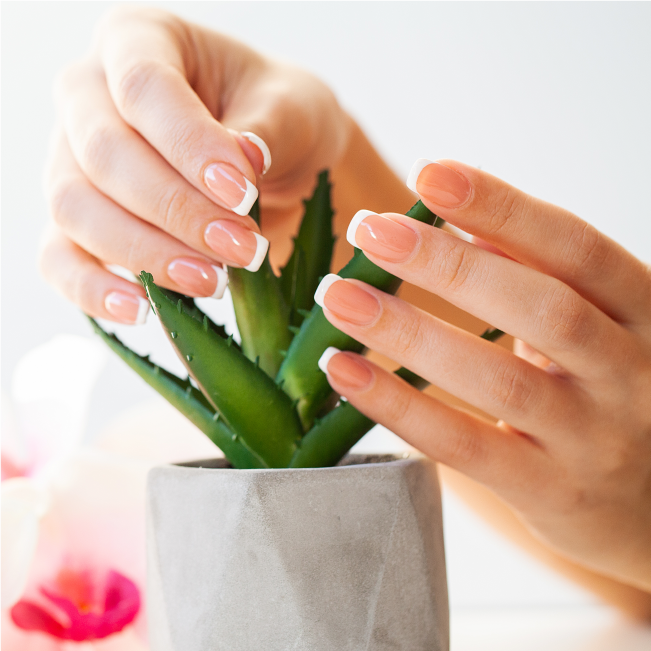 Tropical Nails & Spa in Bedford, IN (4)