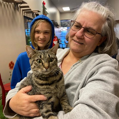 Black Forest Cat Café in Fort Wayne, IN (6)