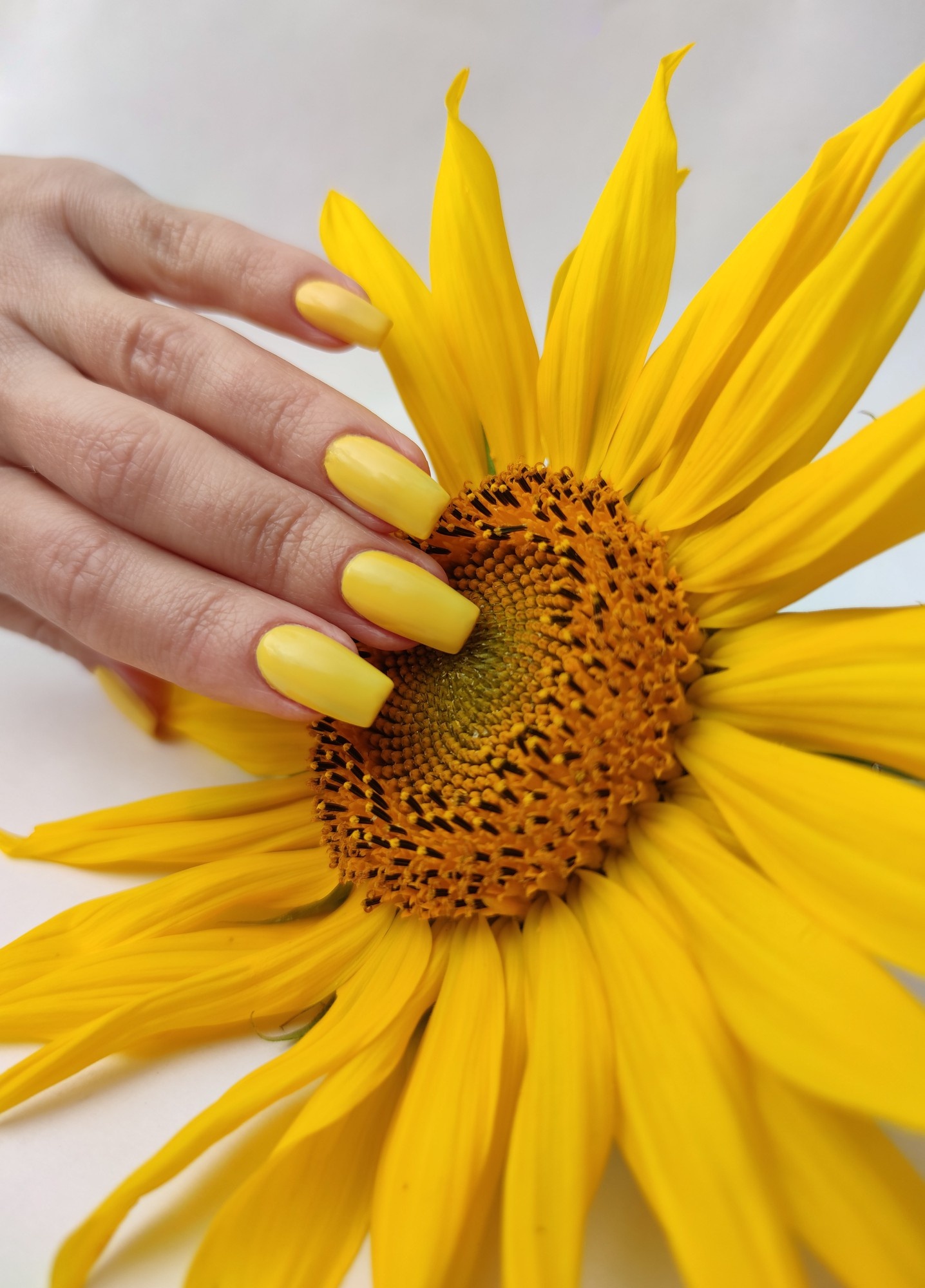 K3 Nails in Milpitas, CA (5)