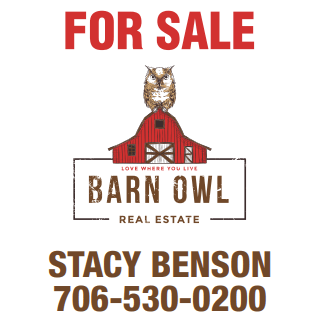 Stacy Benson Barn Owl Real Estate Blue Ridge in Blue Ridge, GA (6)