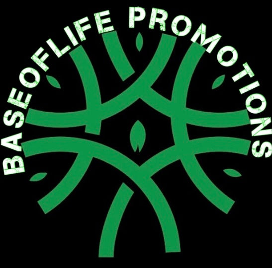 Base Of Life Movement LLC in Indian Rocks Beach, FL (2)