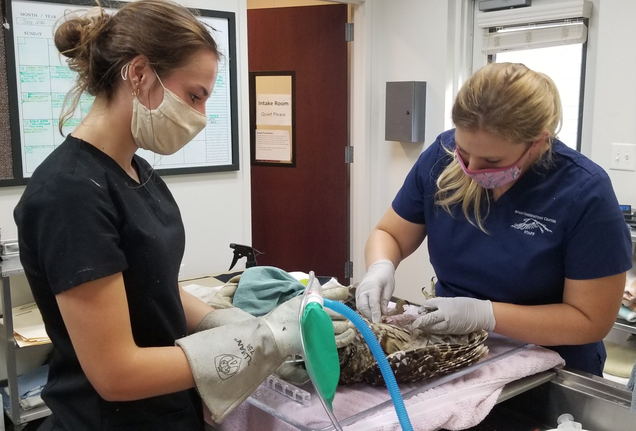 The Avian Conservation Center & Center for Birds of Prey in Awendaw, SC (3)